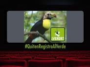 Quiten Registro Al Verde