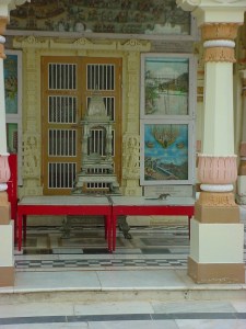 Squirrel in Palitana