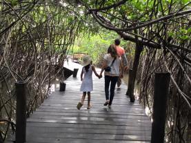 Muelle en El Salado/Pier at El Salado