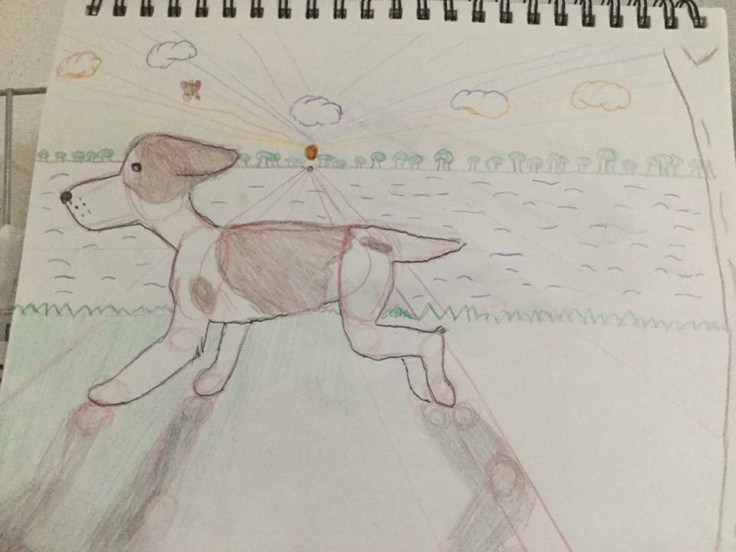 Exposición Manga @ Biblioteca Los&nbsp;Mangos